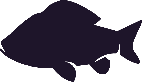 Fish Icon