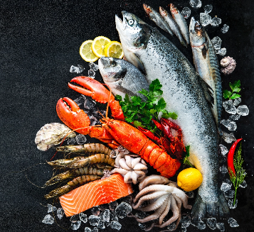 Fish Product